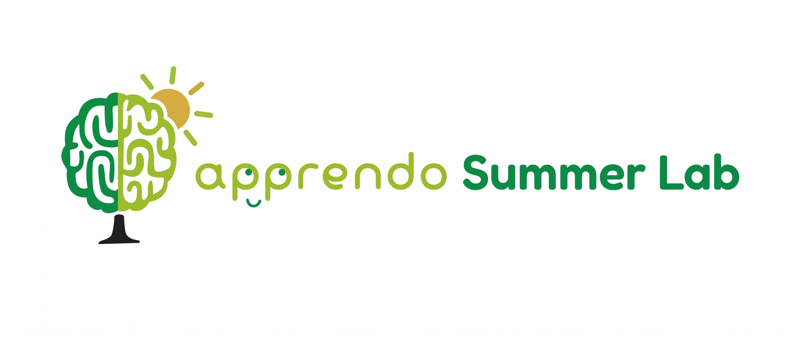 Apprendo Summer Lab